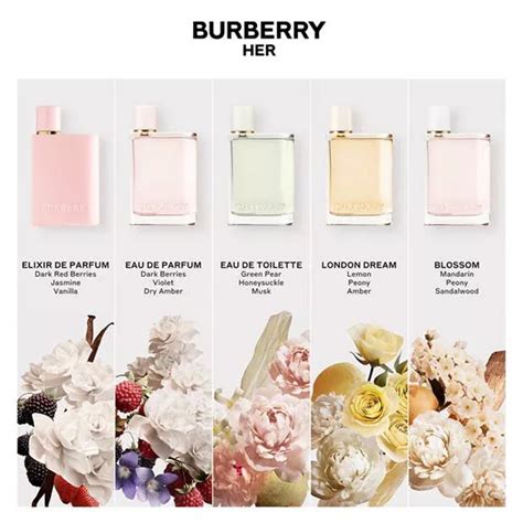 camica burberry|burberry her fragrance.